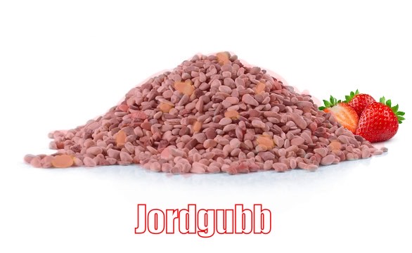 jordgubb